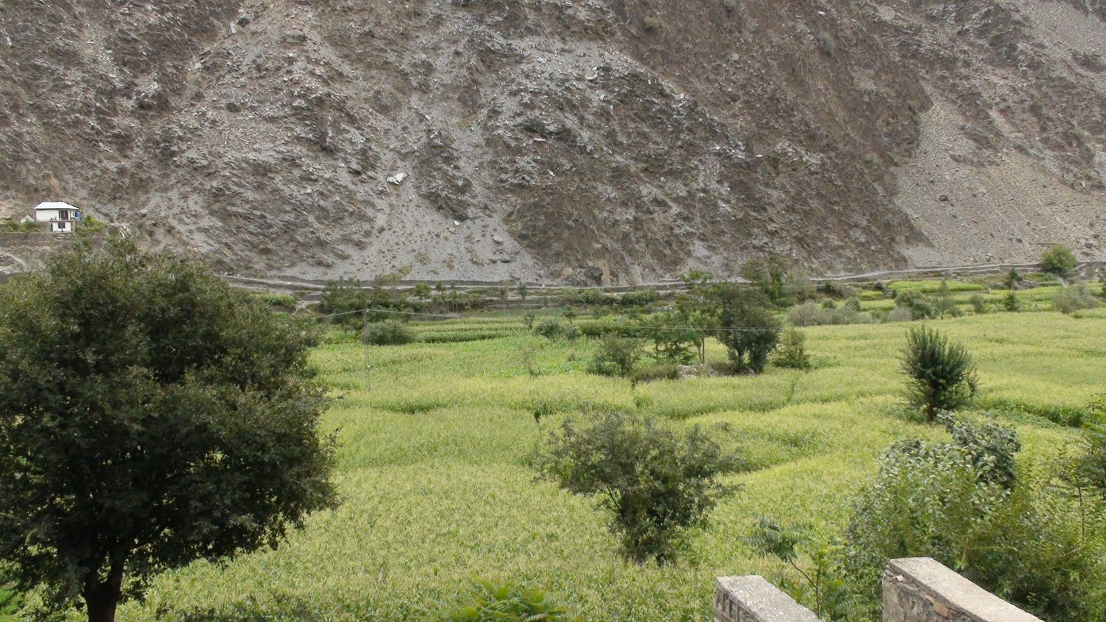 Chitral varsity campus